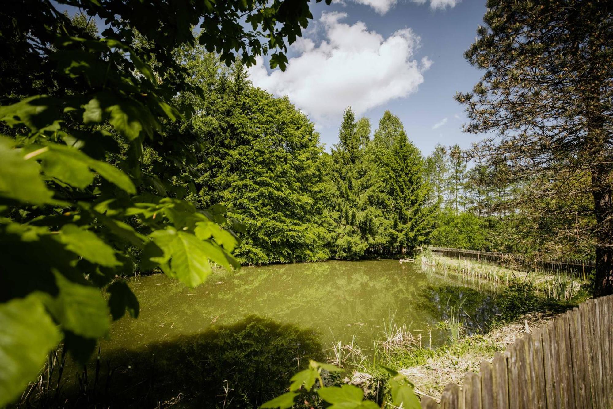 Domki U Serowarki Villa Polanczyk Exterior photo